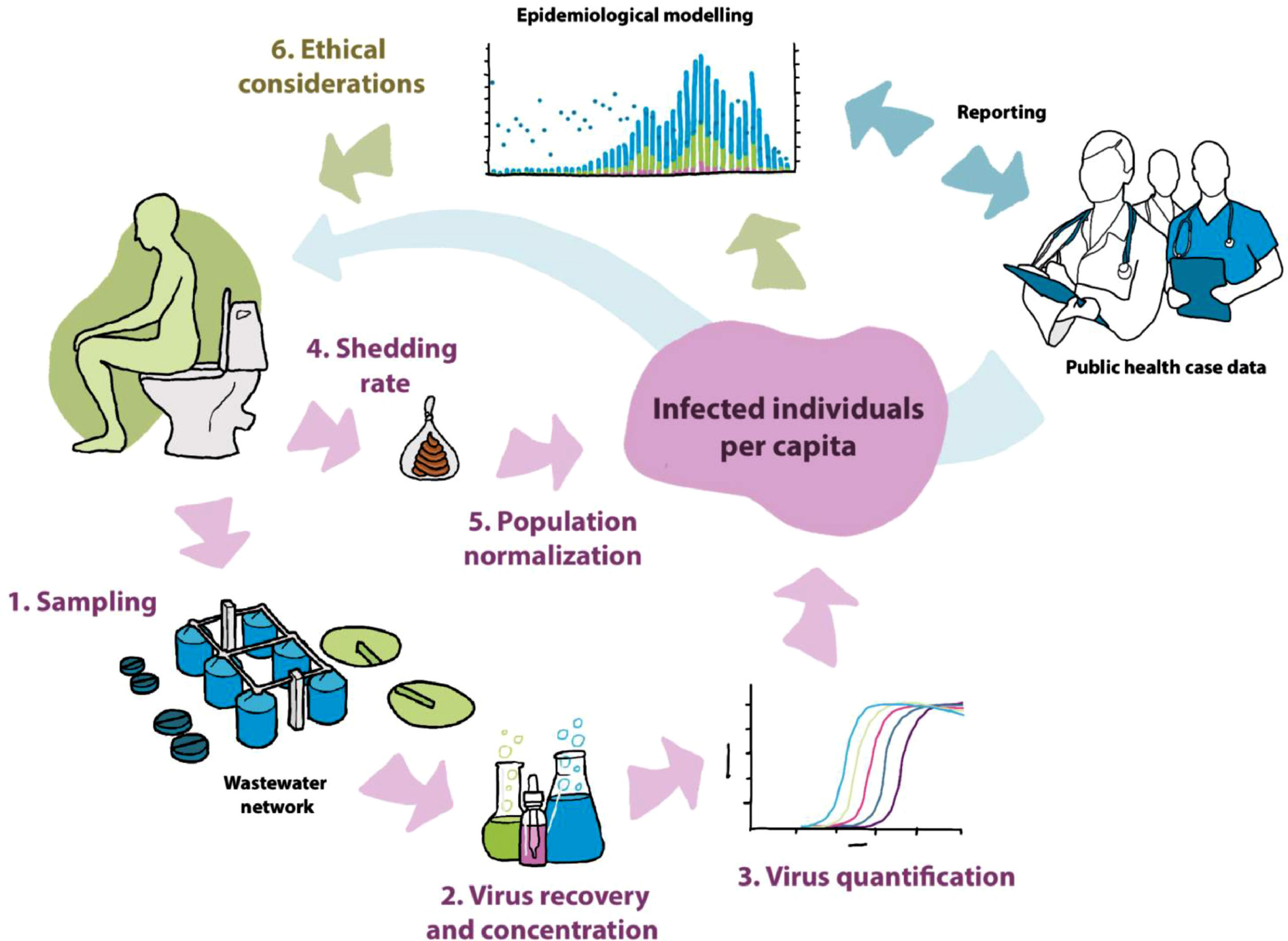 A structured approach to wastewater based epidemiology (WBE) as used community COVID-19 surveillance