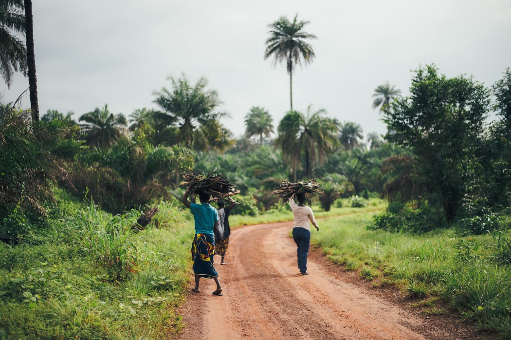 Women carrying timber in Sierra Leone