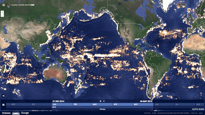 Global Fishing Watch - Monitoring our oceans! (Image Credit: Google) 