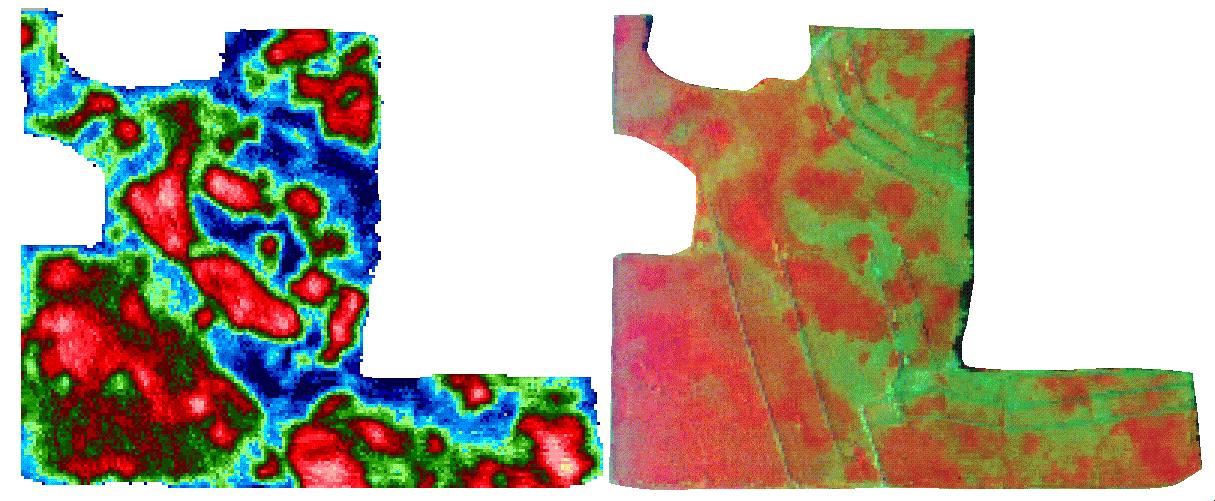 Yield (left) compared to remote sensing image two months earlier (right). Red corresponds to higher yields, blues and greens to lower yields. Source: NASA/Marshall and GHCC. 