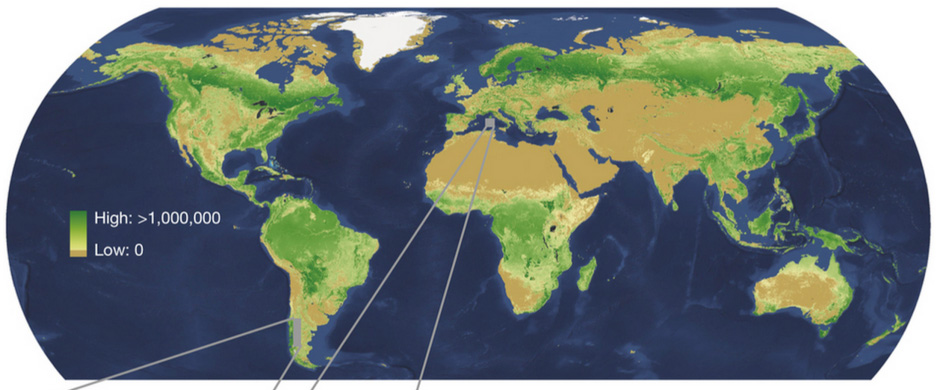 Tree Map Geoawesomeness 