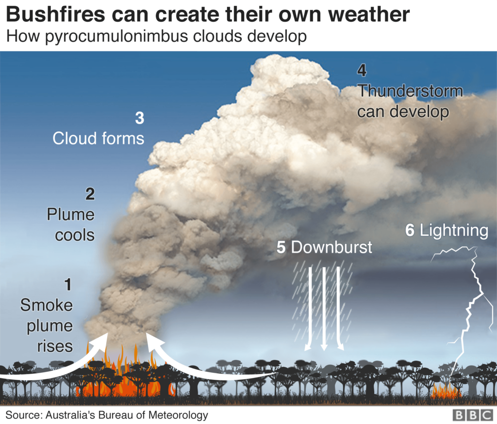 Top maps and charts that explain the terrifying 2019-20 Australian bushfires