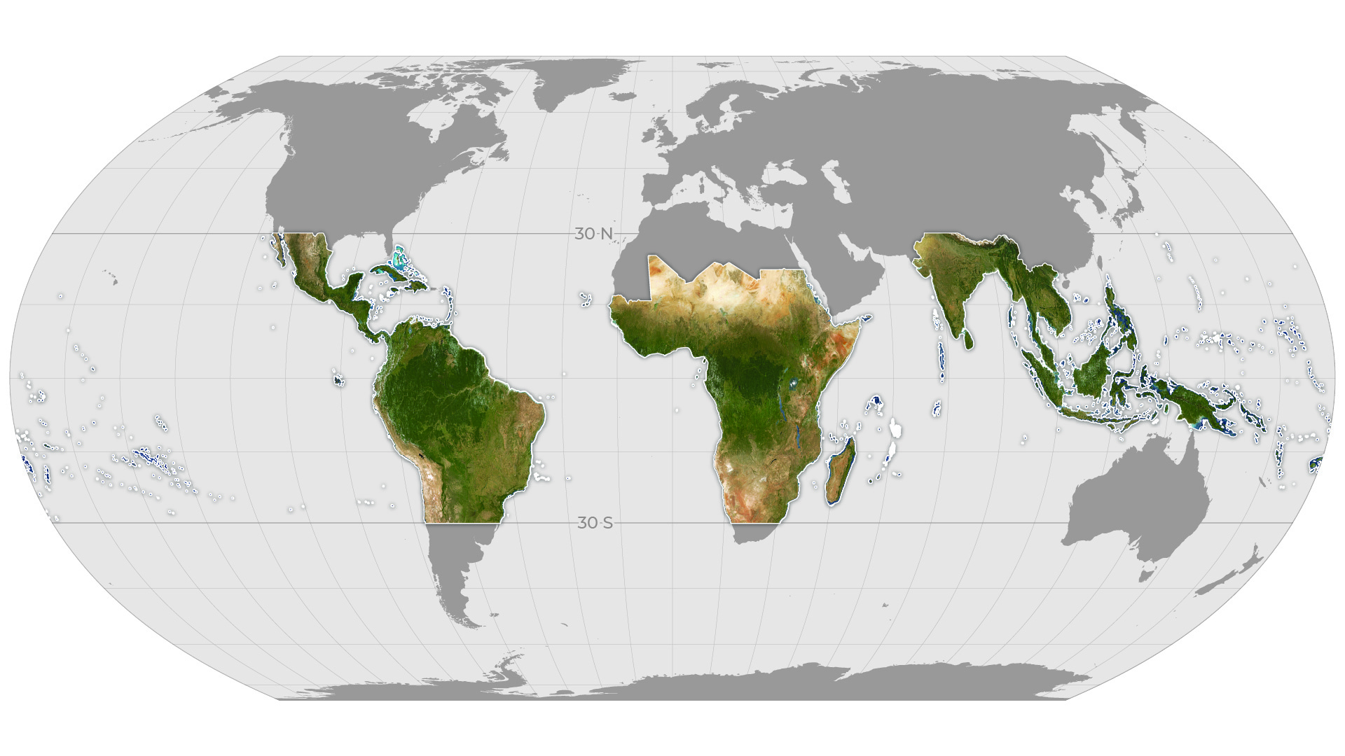 satellite data deforestation