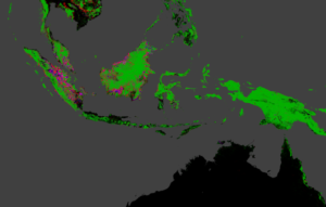 Indonesia lost forests the fastest of any nation between 2000 and 2012. Credit: Image courtesy Matt Hansen, University of Maryland