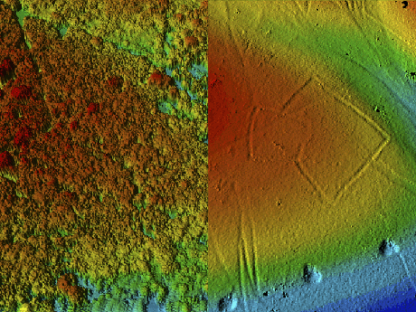 Lidar imagery demonstrating canopy penetration in open woodland in Savernake Forest. The image on the right hand shows the first return of a LiDAR from the crown. The left image shows a filtered version, where only the ground signals were considered, which make up the terrain. The image reveals the presence of an Iron Age enclosure. Source: English Heritage