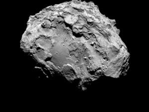 rosetta