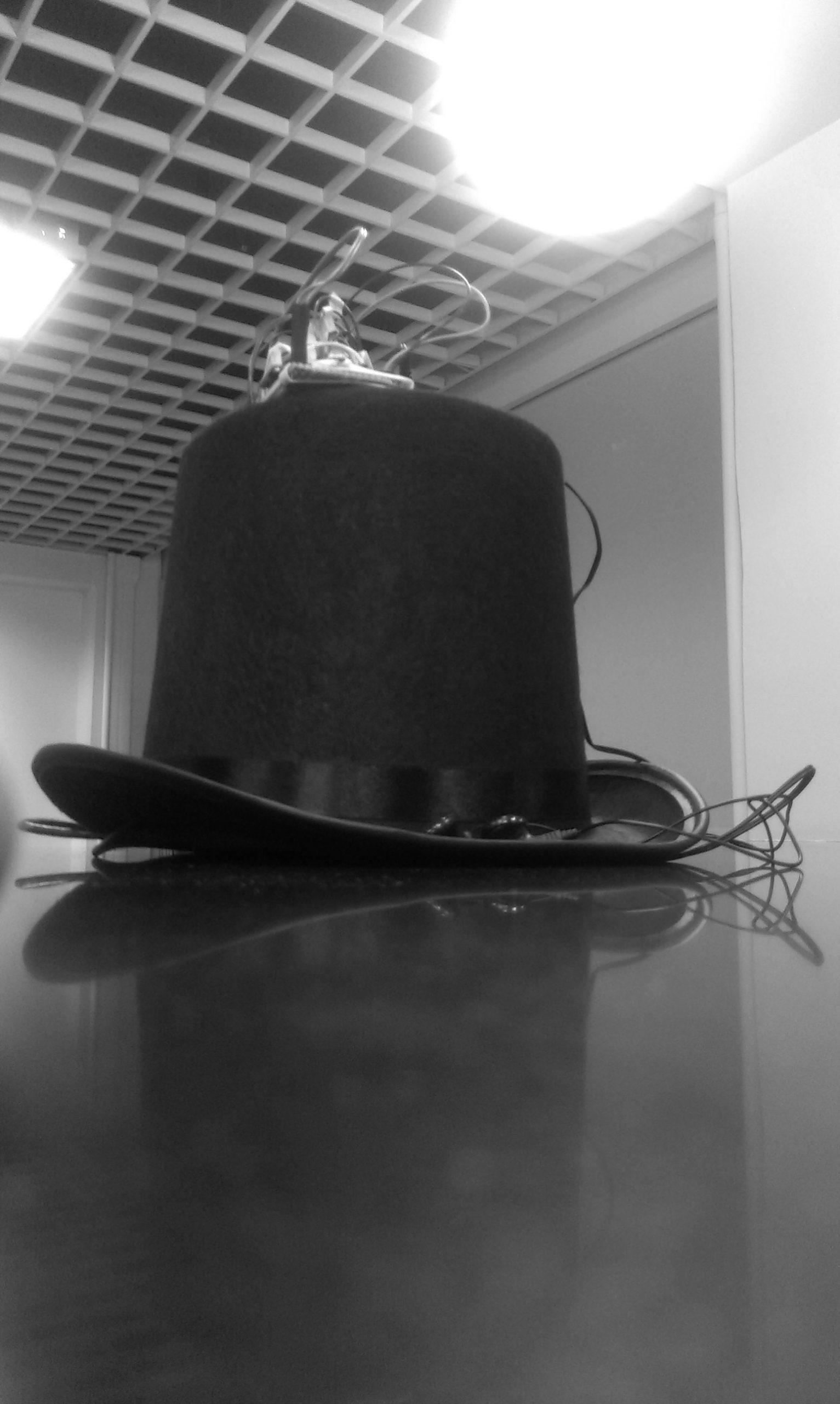 Sound Navigation - Top hat: Image copyright Cornell University