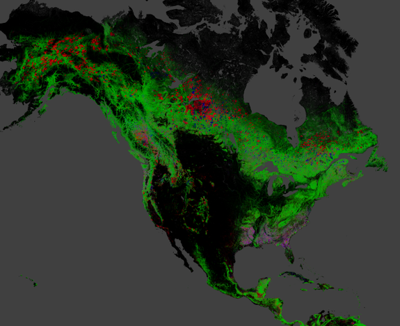 A map of change in North American forests between 2000 and 2012. Red is loss and pink represents areas of loss and gain. Credit: Image courtesy Matt Hansen, University of Maryland