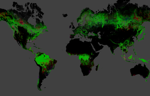 A new global map of deforestation reveals 888,000 square miles (2.3 million square kilometers) lost between 2000 and 2012. 