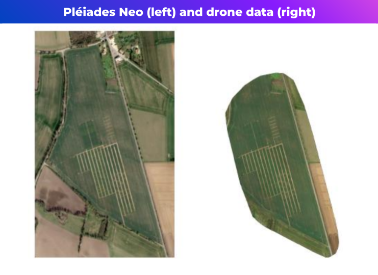 30cm Pléiades Neo compared to drone data