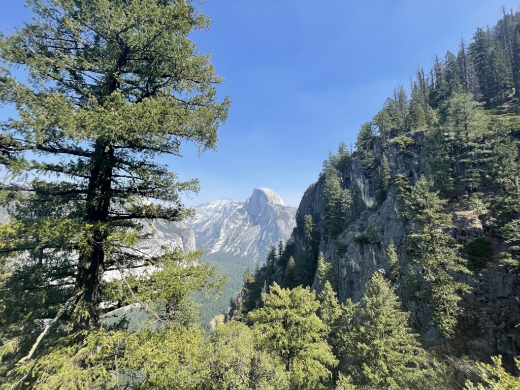 Photo of Half Dome through trees in Yosemite National Park