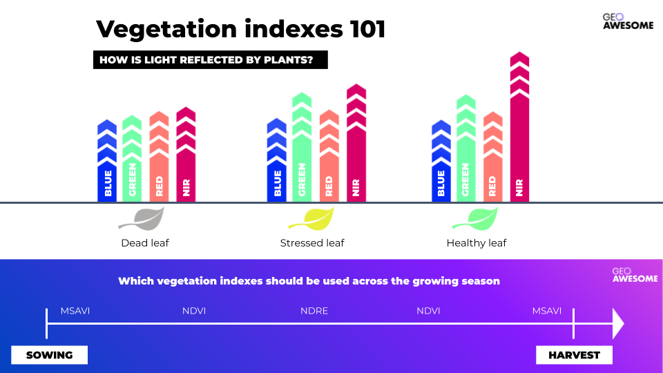 Agriculture Index