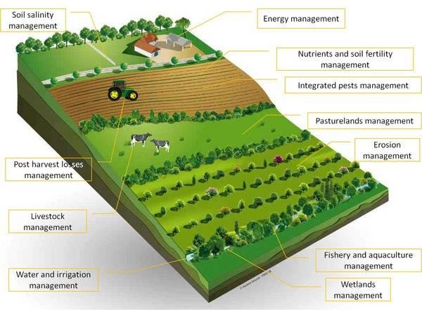Maksimovic, Mirjana & Omanovic-Miklicanin, Enisa. (2017). GREEN INTERNET OF THINGS AND GREEN NANOTECHNOLOGY ROLE IN REALIZING SMART AND SUSTAINABLE AGRICULTURE. 